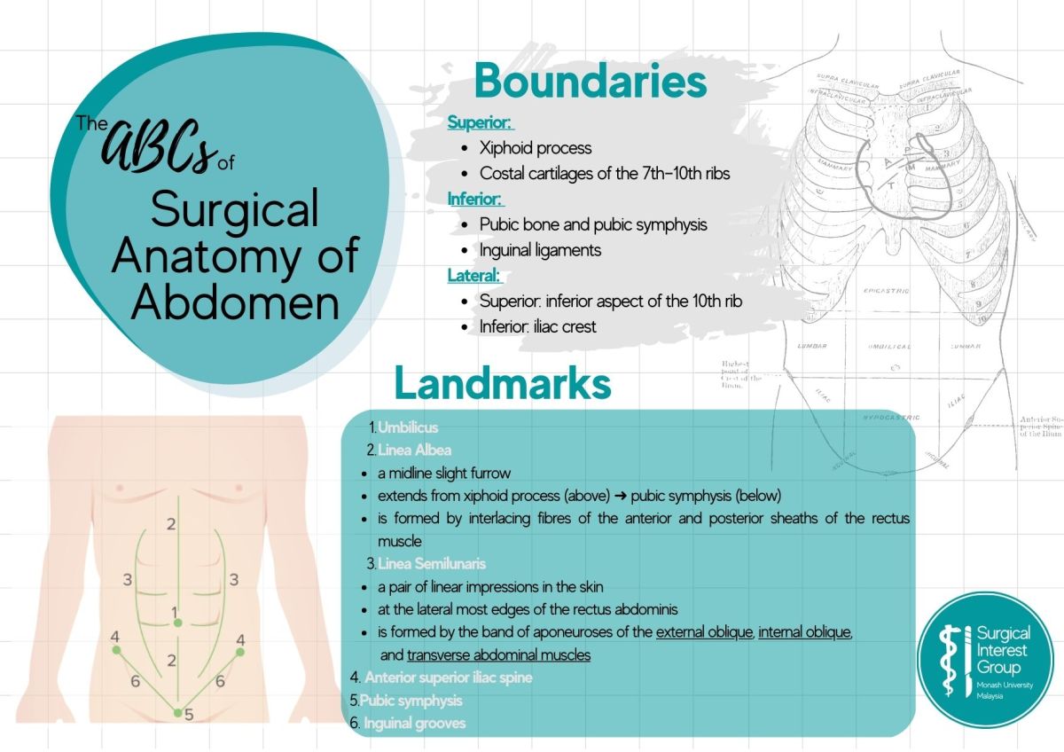 ABCs of: Surgical Anatomy of the Abdomen